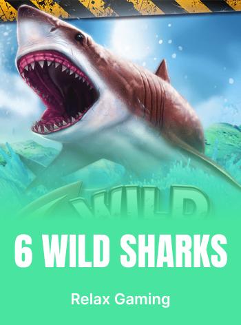 6-wild-sharks.webp