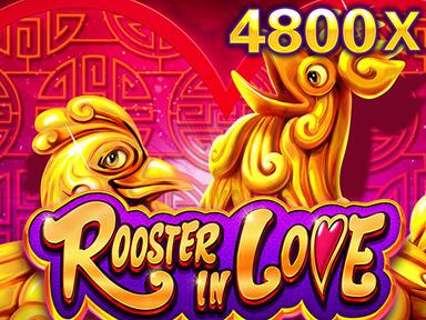 roosterinlove_Horizontal.jpg